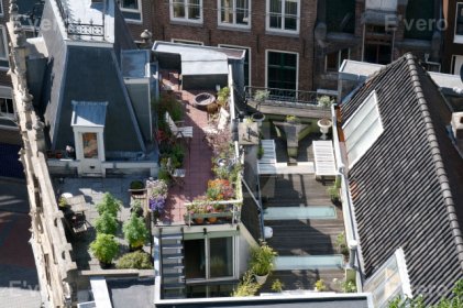 Amsterdam, Jardin dur les toits