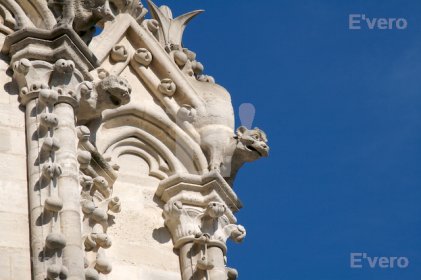 Gargouilles de Notre-Dame